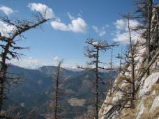 Klik za večjo sliko